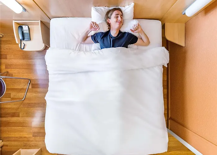 فندق Ibis Gare Part Dieu 3*